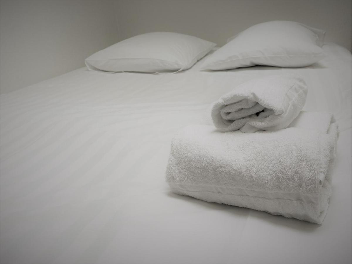 Les Cosy De Nancy - Le Duplex Aux Flammants Roses - 4Etoiles Leilighet Eksteriør bilde