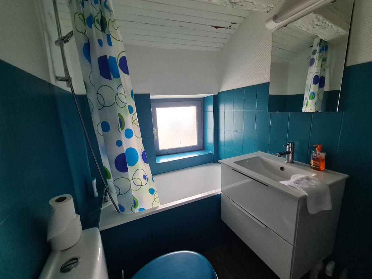 Les Cosy De Nancy - Le Duplex Aux Flammants Roses - 4Etoiles Leilighet Eksteriør bilde