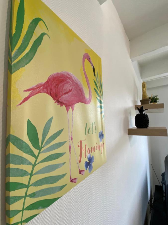 Les Cosy De Nancy - Le Duplex Aux Flammants Roses - 4Etoiles Leilighet Eksteriør bilde